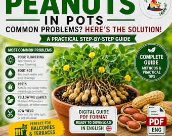Peanut Growing Guide PDF | How to Grow Peanuts in Pots | Balcony Gardening Guide for Urban Gardens and Beginners