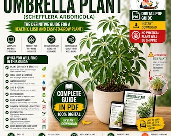 Umbrella Plant Care Guide PDF | Schefflera Care Guide | Complete Schefflera Growing Guide | Indoor Plant eBook