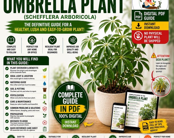 Umbrella Plant Care Guide PDF | Schefflera Care Guide | Complete Schefflera Growing Guide | Indoor Plant eBook