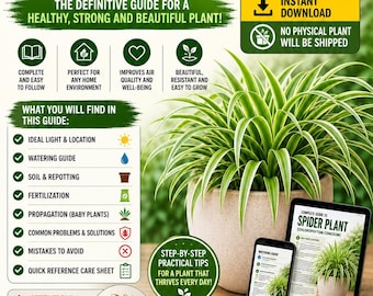 Spider Plant Care Guide PDF | Complete Chlorophytum Growing Guide | Houseplant Care eBook | Indoor Plant Guide