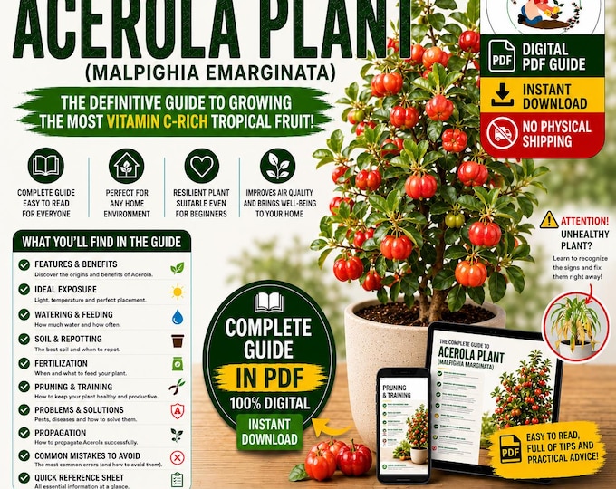 Acerola Growing Guide PDF | Barbados Cherry Care | How to Grow Acerola in Pots | Tropical Fruit Plant Guide