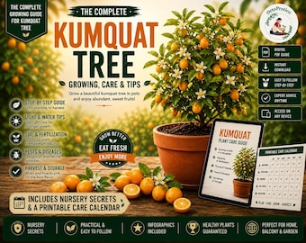 Kumquat Tree Care Guide PDF  Dwarf Citrus Tree in Pot, Indoor Citrus Tree Care, Grow Kumquat at Home, Balcony Fruit Tree Guide