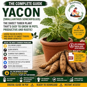 May include: An image of a Yacon plant in a terracotta pot, with several tubers at the base. The image includes text: "The Complete Guide Yacon" and details on growing the plant. A digital guide is offered.