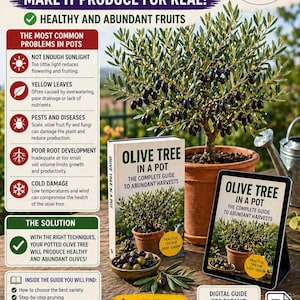 Può includere: Un albero di ulivo in vaso con abbondanti olive scure. L'immagine include un libro e un tablet con il titolo "Albero di ulivo in vaso" e il testo "La guida completa per raccolti abbondanti".