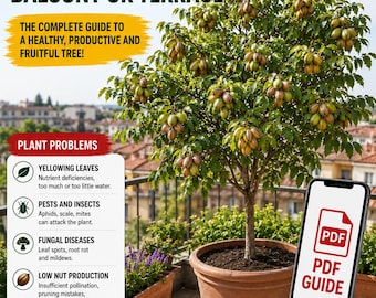 Pecan Tree in Pots Guide PDF – Grow a Pecan Nut Tree on a Balcony