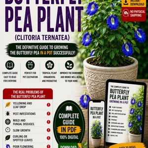 May include: A digital guide titled The Complete Guide to Butterfly Pea Plant (Clitoria Ternatea) featuring a potted plant with vibrant blue flowers, a smartphone and tablet displaying the guide, and a small bowl of dried blue flowers.