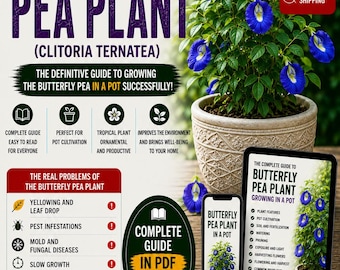 Butterfly Pea Growing Guide PDF | How to Grow Clitoria ternatea in Pots | Blue Tea Plant Care | Edible Flower Guide