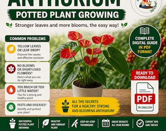 Anthurium Not Blooming? Make It Flower Again Fast | Healthy Leaves & Continuous Blooms Guide