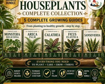 Indoor Plant Care Guide Bundle – Areca Palm, Calathea, Ficus, Monstera Deliciosa & Sansevieria – Houseplant PDF Guide for Beginners