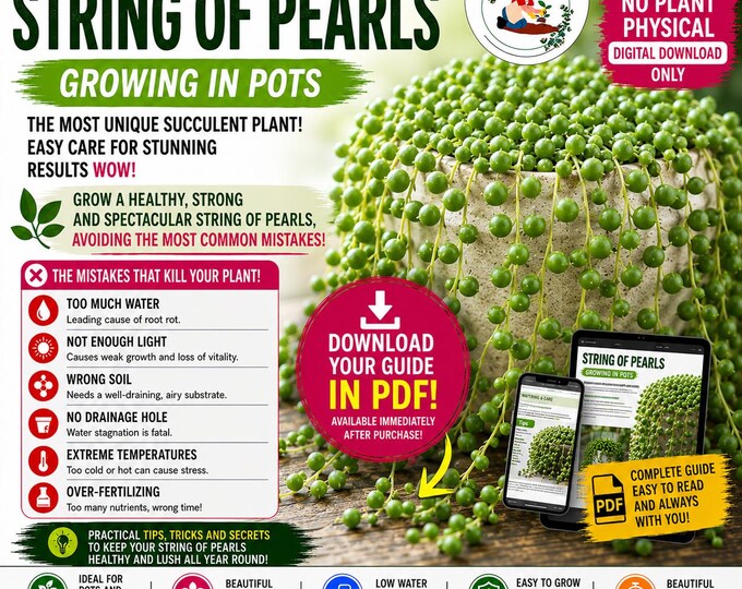 String of Pearls Growing Guide PDF | Senecio Rowleyanus Care Guide | Propagation, Watering & Common Problems