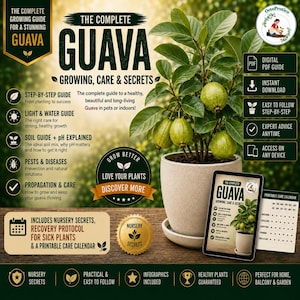 May include: A digital guide titled The Complete Guava Growing, Care & Secrets featuring text about planting, soil, pests, and care. A potted guava plant with green fruit sits next to a tablet displaying the guide and a printable care calendar.
