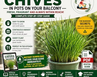 Chives in Pots Guide PDF | Grow Chives Indoors | Endless Harvest Method | Regrow After Cutting | Balcony Herb Gardening for Beginners