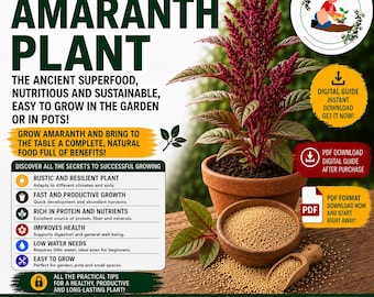 Amaranth Growing Guide PDF | How to Grow Amaranth in Pots | Balcony Gardening Guide for Urban Gardeners and Beginners