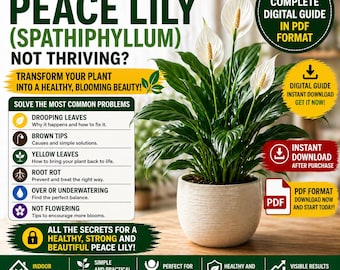 Peace Lily Care Guide PDF – Spathiphyllum Care in Pots | Yellow Leaves & Not Flowering