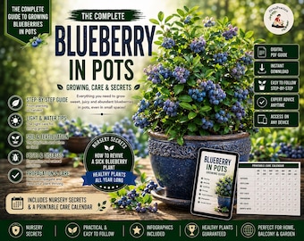 Grow Blueberries in Pots Complete Guide – Blueberry Plants Care, Soil Mix, Fertilizer, Pruning, Pest Control, Bigger Harvest Method