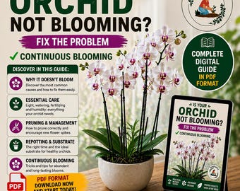 Phalaenopsis Orchid Care Guide PDF – How to Rebloom Orchids, Moth Orchid Care, Watering, Repotting, Pests & Bloom Secrets