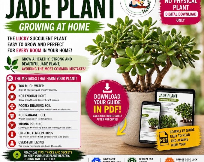 Jade Plant Growing Guide PDF | Crassula Ovata Care Guide | Watering, Pruning, Flowering & Common Problems