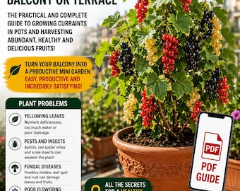 Currant in Pots Guide PDF – Grow Currants on a Balcony with Lots of Fruits
