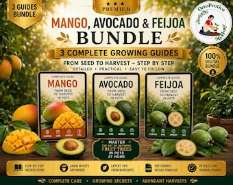Grow Mango, Avocado & Feijoa at Home | Tropical Fruit Trees in Pots Guide | Easy Indoor Gardening for Bigger Harvests/tropical bundle