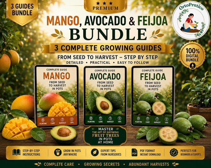Grow Mango, Avocado & Feijoa at Home | Tropical Fruit Trees in Pots Guide | Easy Indoor Gardening for Bigger Harvests/tropical bundle