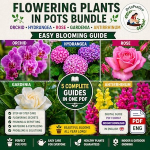 Op de afbeelding: Een digitale gidsbundel met bloeiende planten in potten, waaronder orchideeën, hortensia's, rozen, gardenia's en leeuwenbekken. De gids belooft gemakkelijk bloeien met stapsgewijze verzorgingsinstructies en bloei geheimen. Beschikbaar in PDF-formaat.