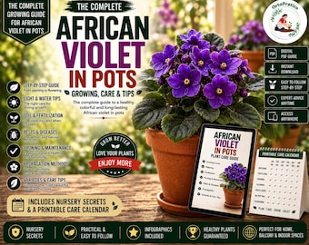 African Violet Care Guide | How to Grow African Violets Indoors | African Violet Growing & Propagation Guide | Houseplant Care PDF