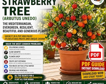 Strawberry Tree in Pots Guide PDF – Grow Arbutus on a Balcony with Healthy Fruits