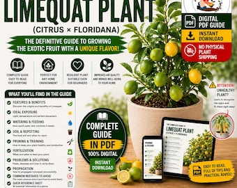 Limequat Growing Guide PDF | How to Grow Limequat in Pots | Lime Kumquat Citrus Tree Care | Digital Plant Guide