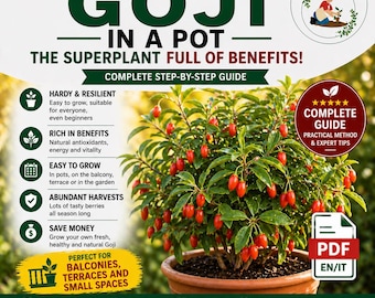Grow Goji Berries in Pots – Complete Premium Guide, Goji Berry Plant Care, Grow Goji at Home for More Berries
