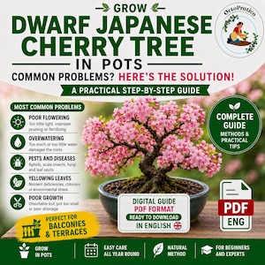 May include: A guide for growing dwarf Japanese cherry trees in pots. The image shows a bonsai cherry tree with pink blossoms. The guide addresses common problems and offers a step-by-step guide. The guide is available in PDF format.