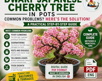 Dwarf Japanese Cherry Tree Growing Guide PDF | How to Grow Sakura in Pots | Balcony Gardening Guide for Ornamental Plants