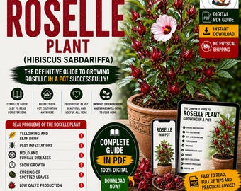 Roselle Growing Guide PDF | How to Grow Roselle in Pots | Hibiscus sabdariffa Care | Hibiscus Tea Plant Guide