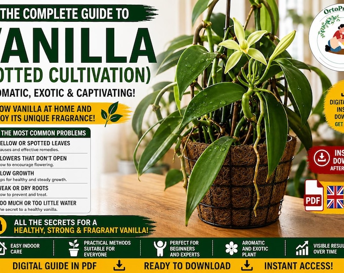 Vanilla Growing Guide PDF | How to Grow Vanilla Planifolia in Pots Indoors and on Balconies | Tropical Plant Guide