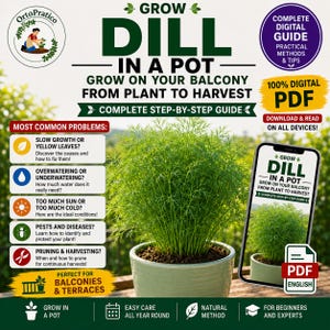 Op de afbeelding: Een digitale gids getiteld GROW DILL IN A POT, met een groene dilleplant in een lichtgroene pot. De afbeelding bevat tekst over veelvoorkomende problemen zoals groei, water geven, zon, ongedierte en het snoeien van de plant.