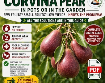 Serviceberry Guide PDF | Amelanchier Honeywood Growing in Pots | Blueberry Like Superfood Fruit | Rare Fruit Ebook | Digital Download