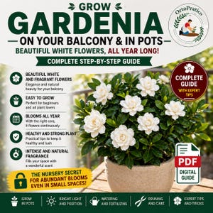 Op de afbeelding: Een gardenia plant in een beige pot met grote, witte, geurige bloemen. De afbeelding bevat de tekst "Grow Gardenia" en "Complete Step-by-Step Guide". De plant wordt beschreven als gemakkelijk te kweken en bloeiend het hele jaar door.