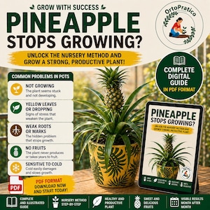May include: A pineapple plant in a yellow pot, with a tablet showing "Pineapple Stops Growing?" The image includes text about plant problems and a digital guide in PDF format to help grow pineapples.