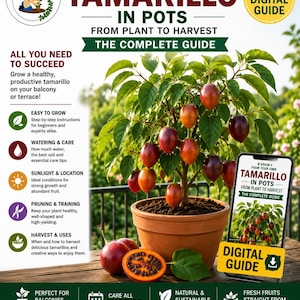 Tamarillo in Pots Guide PDF | Grow Tree Tomato on Balcony | Exotic Fruit Container Gardening | Easy Step-by-Step Guide