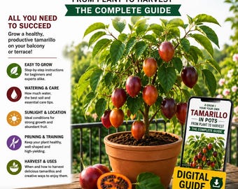 Tamarillo in Pots Guide PDF | Grow Tree Tomato on Balcony | Exotic Fruit Container Gardening | Easy Step-by-Step Guide