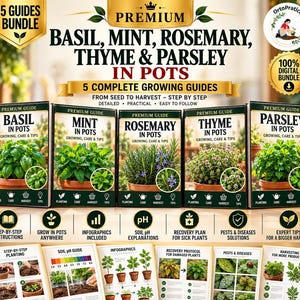 May include: A digital bundle of five growing guides for basil, mint, rosemary, thyme, and parsley in pots. The image features text titles, plant illustrations, step-by-step planting instructions, soil pH charts, and infographics on plant care.