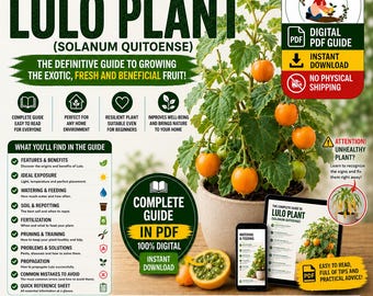 Lulo Growing Guide PDF | Naranjilla Plant Care | How to Grow Lulo in Pots and Harvest Tropical Fruits | Digital Guide