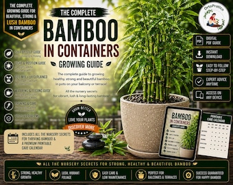 Bamboo Growing Guide PDF | How to Grow Bamboo in Pots | Complete Container Care Guide | Repotting, Pruning & Troubleshooting