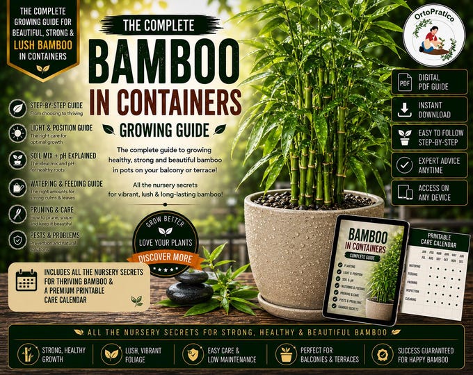 Bamboo Growing Guide PDF | How to Grow Bamboo in Pots | Complete Container Care Guide | Repotting, Pruning & Troubleshooting