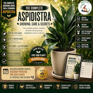 以下が含まれることがあります： The Complete Aspidistra Growing, Care & Secretsと題されたデジタルガイド。ベージュの鉢に入った緑色のハランの植物が写っています。ガイドには、ステップバイステップのマニュアル、土壌と光の情報、害虫対策、印刷可能なケアカレンダーが含まれています。