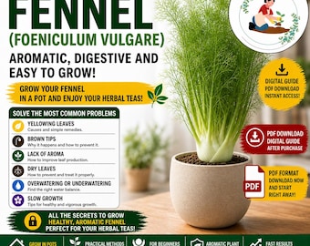 Fennel in Pots Guide PDF – Fennel Seeds for Tea | Not Producing Seeds & Fennel Problems