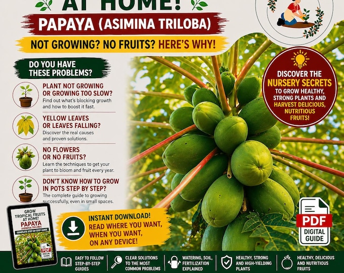 Asimina Triloba Complete Guide | Grow Tropical Fruit at Home | Pawpaw Tree in Pots | Rare Fruit Plant Ebook PDF