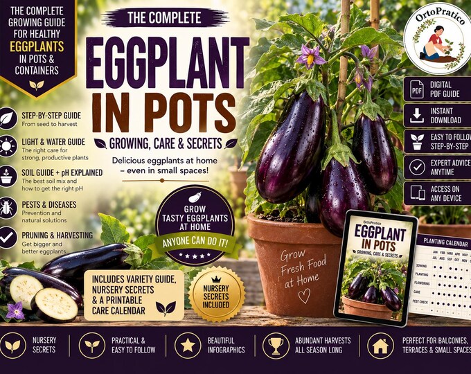 How to Grow Eggplant in Pots | Eggplant Growing Guide | Container Gardening | From Seed to Harvest | Digital PDF