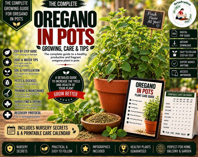 How to Grow Oregano in Pots | Oregano Growing Guide | Grow Oregano at Home | Oregano Plant Care |Container Gardening | From Plant to Harvest
