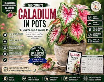 Caladium Care Guide Caladium Plant Care Growing Caladium Tuber Propagation Watering Pest Disease Guide PDF