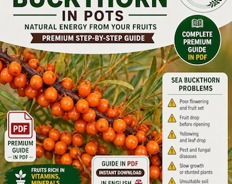 Sea Buckthorn Guide PDF | Growing & Uses Hippophae rhamnoides | Superfood Berry Plant | Vitamin C Rich Fruit Ebook | Digital Download
